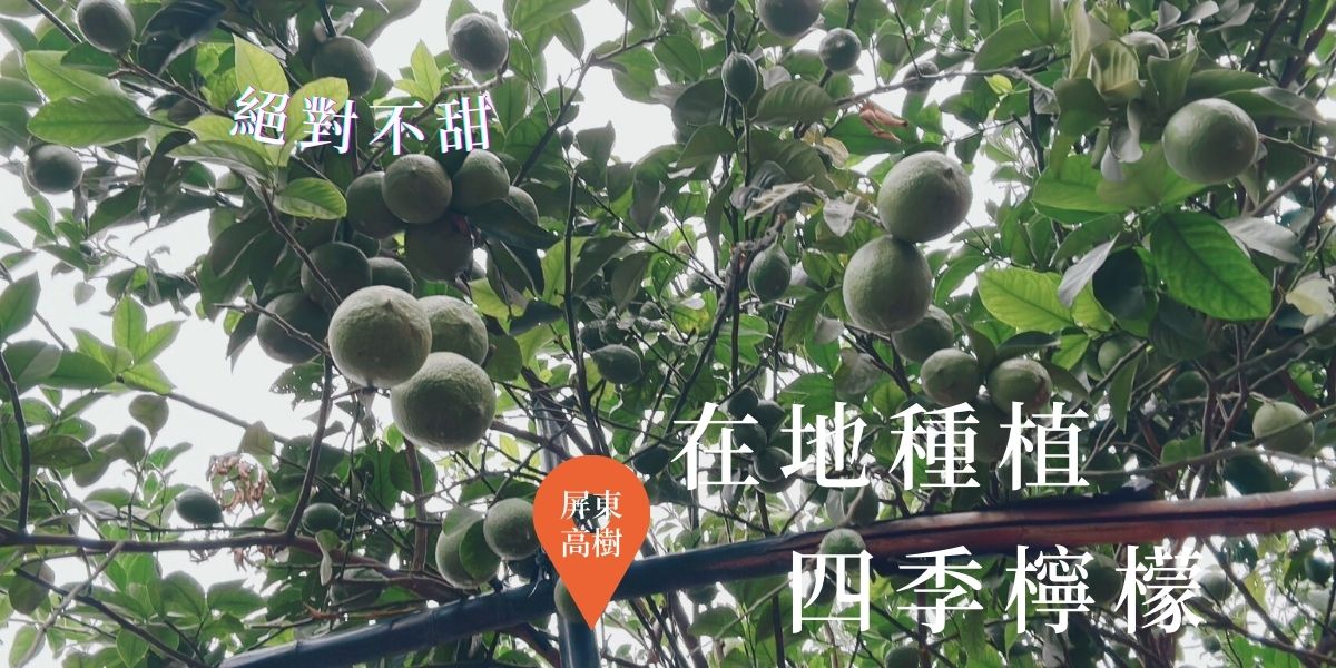 檸檬